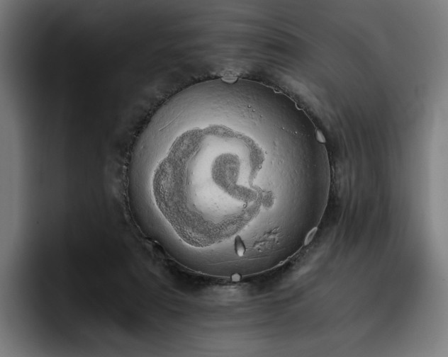 X0000093410307200710121122