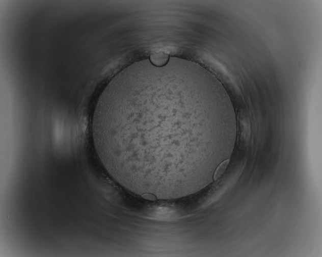 X0000093410308200710121122