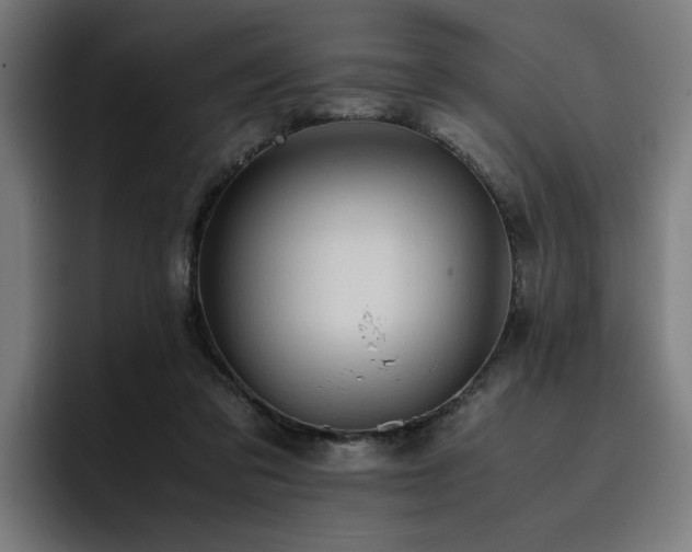 X0000093410309200710121122