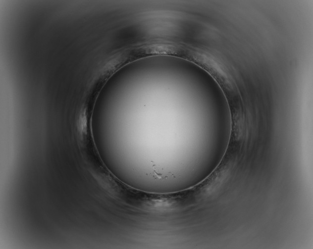 X0000093410310200710121122