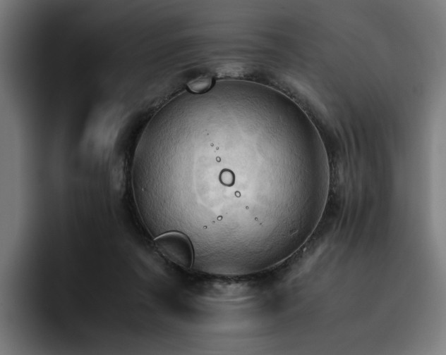 X0000093410311200710121122