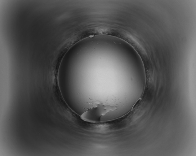 X0000093410313200710121122