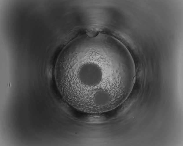 X0000093410315200710121122