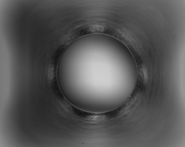 X0000093410323200710121122