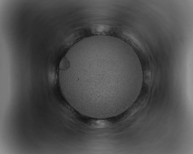 X0000093410324200710121122