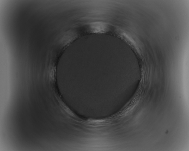 X0000093410325200710121122