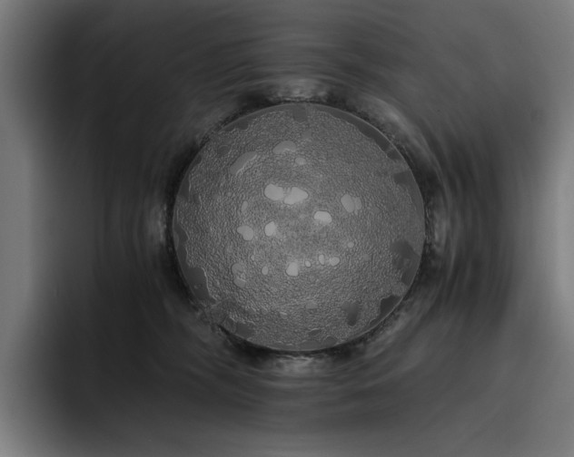 X0000093410326200710121122