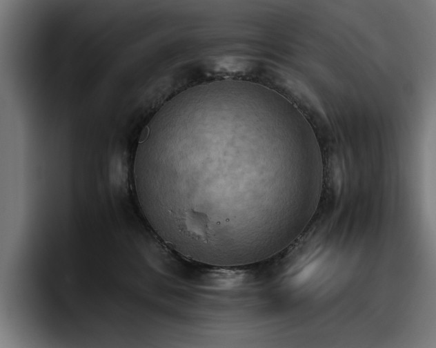 X0000093410328200710121122