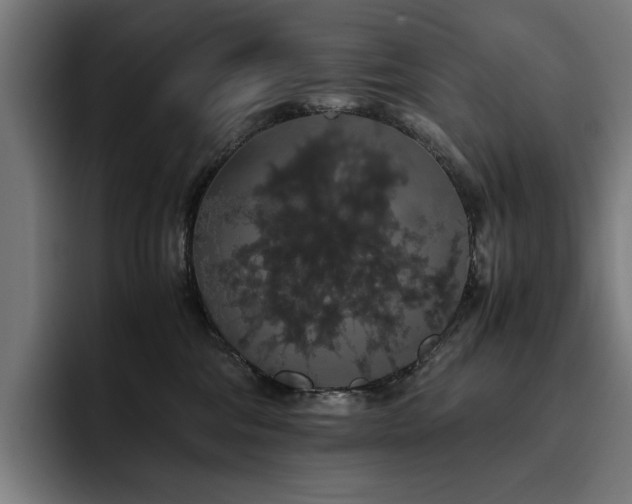 X0000093410330200710121122