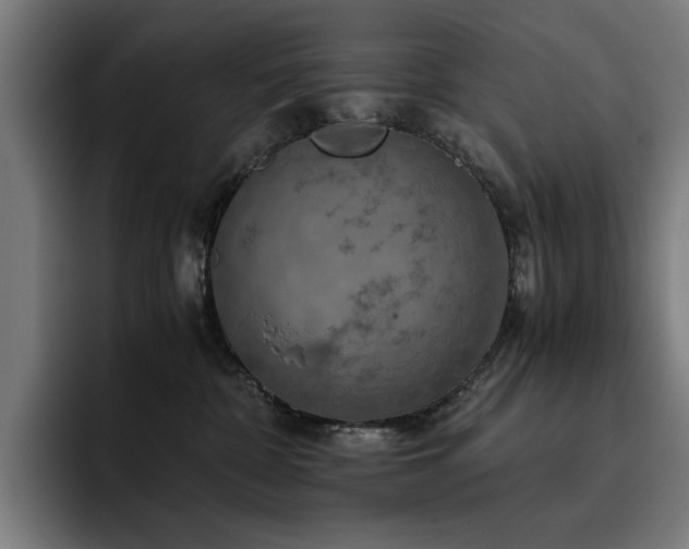 X0000093410332200710121122