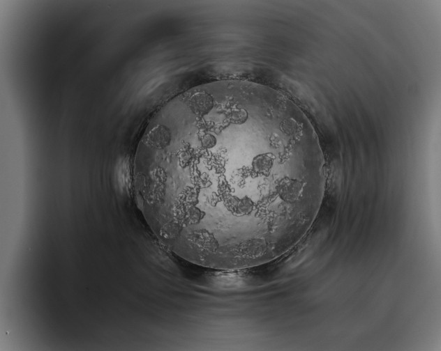 X0000093410335200710121122