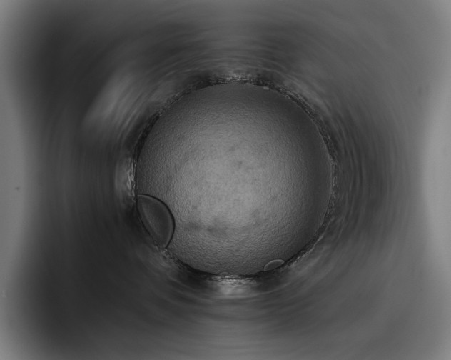 X0000093410336200710121122