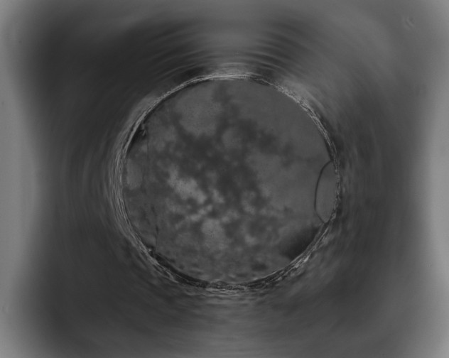 X0000093410337200710121121