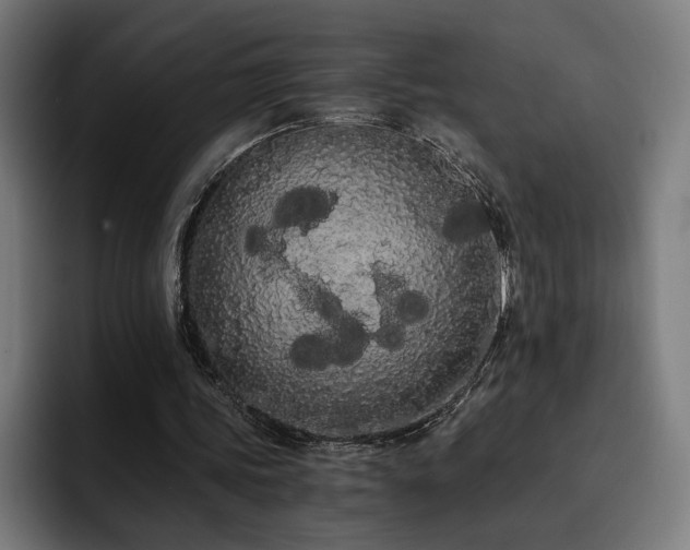 X0000093410339200710121121