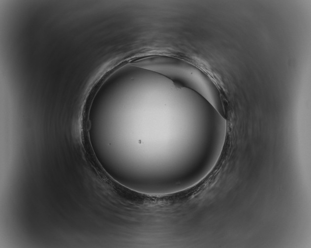 X0000093410340200710121121