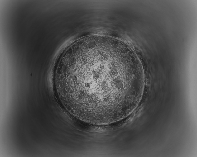 X0000093410341200710121121