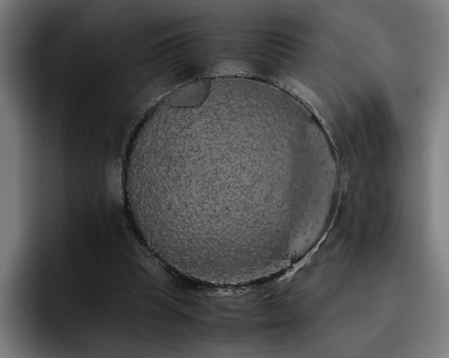 X0000093410345200710121121