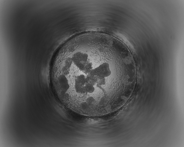 X0000093410346200710121121