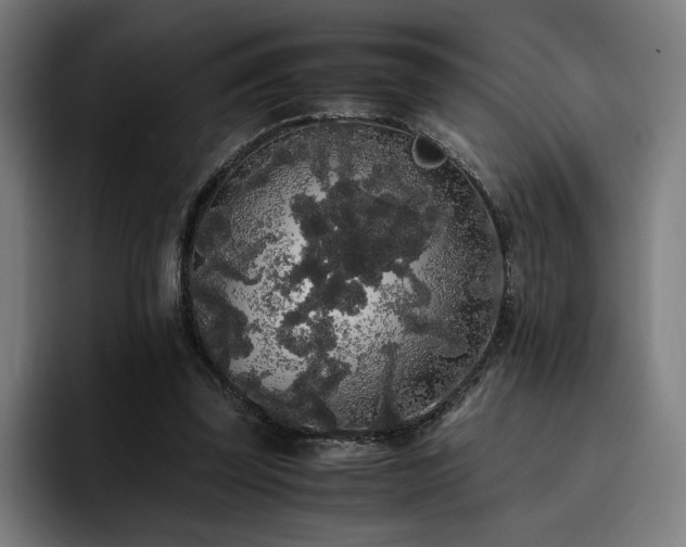 X0000093410347200710121121