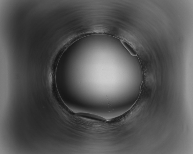 X0000093410350200710121121