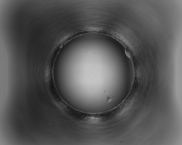 X0000093410352200710121121