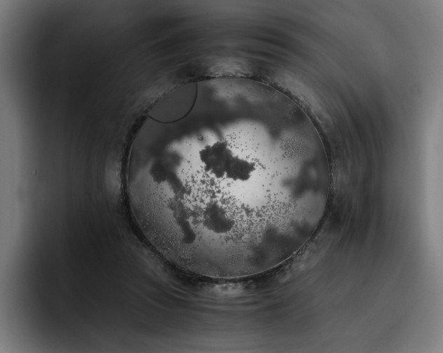 X0000093410353200710121121