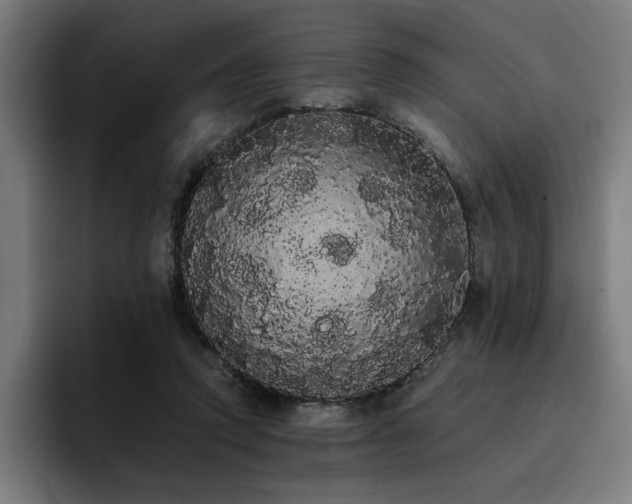 X0000093410354200710121121