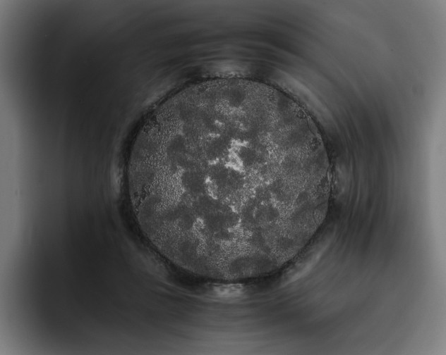 X0000093410355200710121121