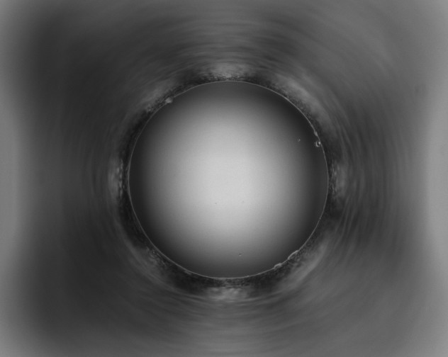 X0000093410356200710121121