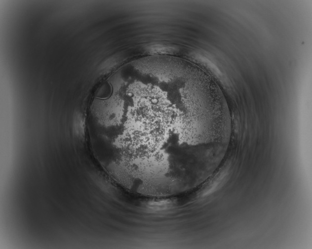 X0000093410357200710121121