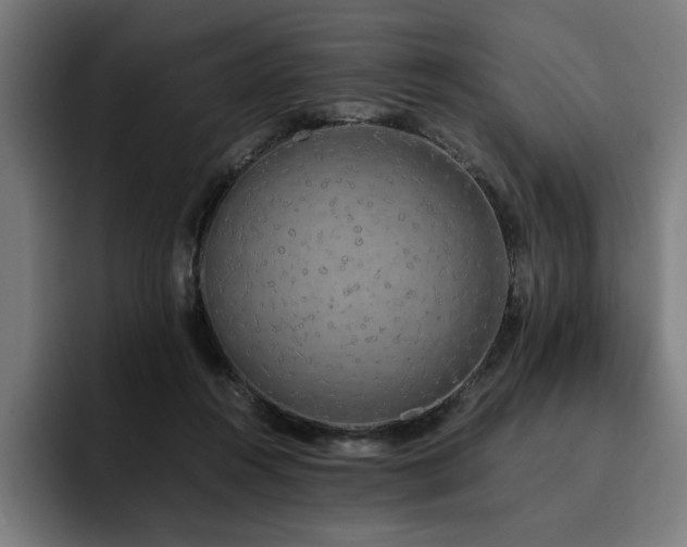 X0000093410360200710121121