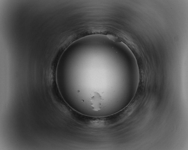 X0000093410362200710121122