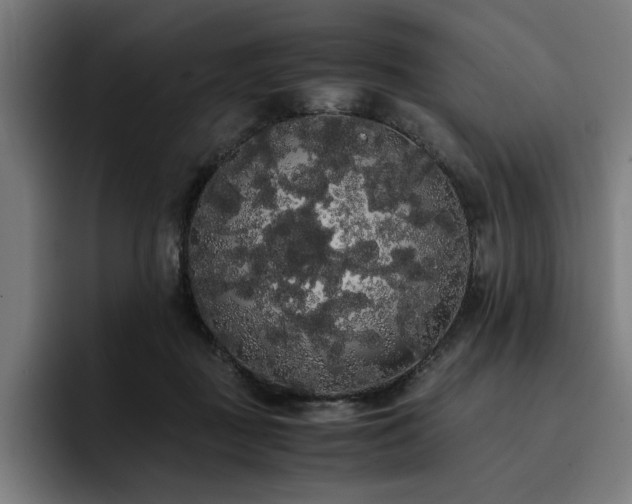 X0000093410363200710121122