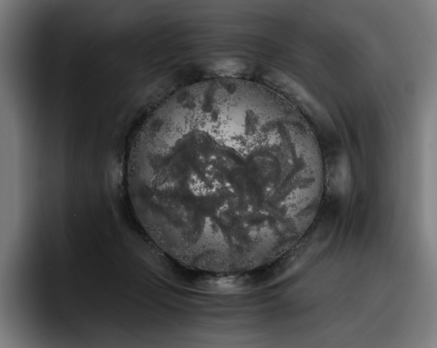 X0000093410365200710121122