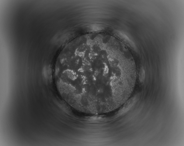 X0000093410366200710121122