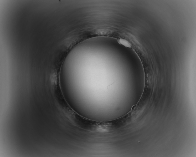 X0000093410368200710121122