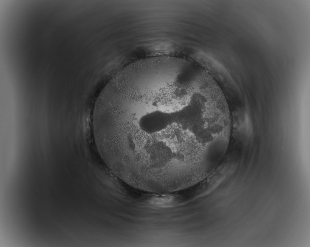 X0000093410369200710121122