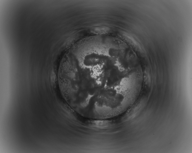 X0000093410371200710121122