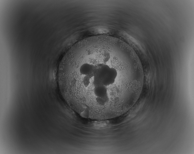 X0000093410373200710121122