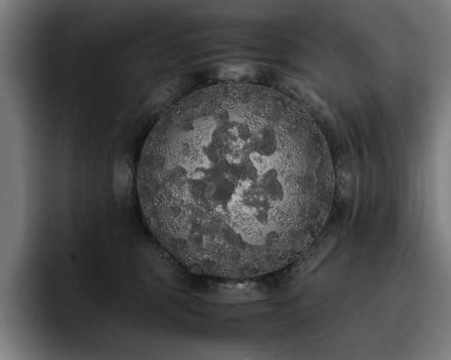 X0000093410375200710121122