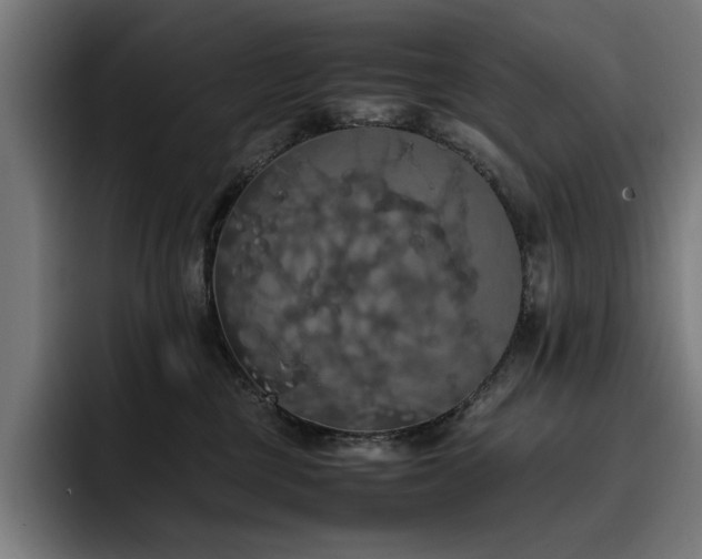 X0000093410377200710121122