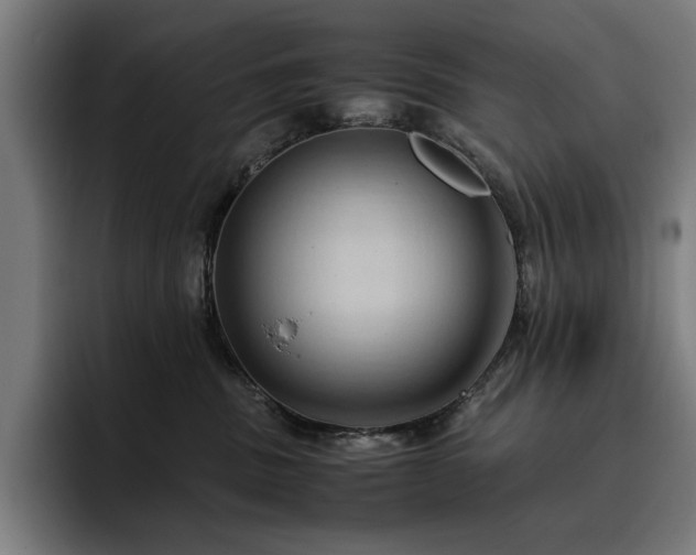 X0000093410379200710121122