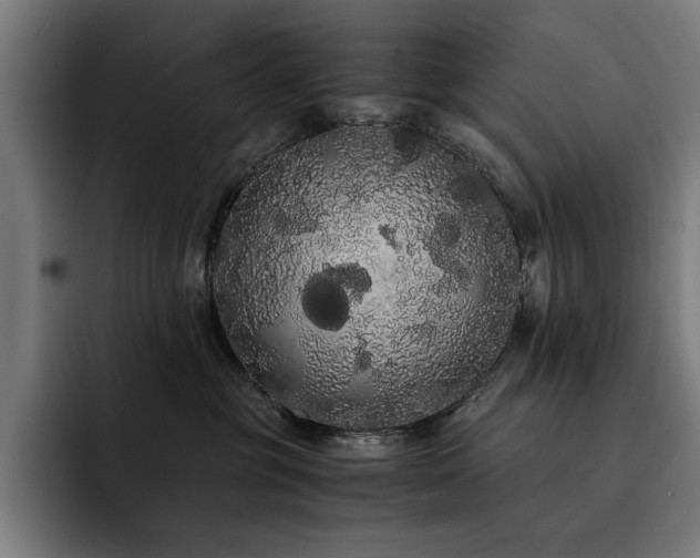 X0000093410381200710121122