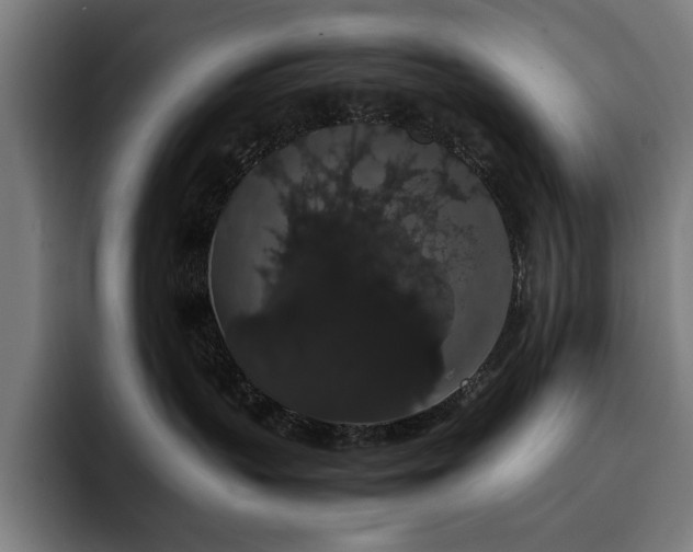 X0000093410383200710121122