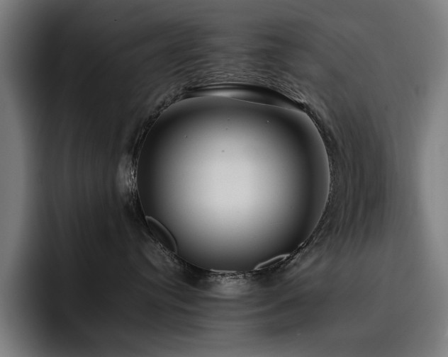 X0000093410384200710121122