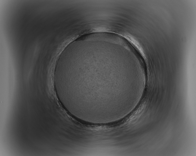 X0000093410385200710121121