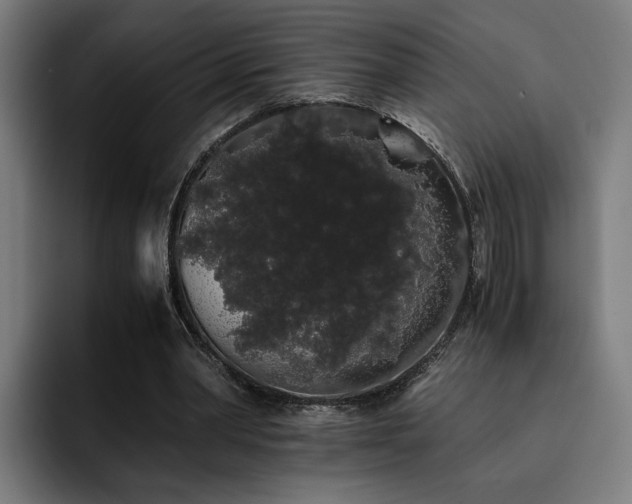 X0000093410390200710121121