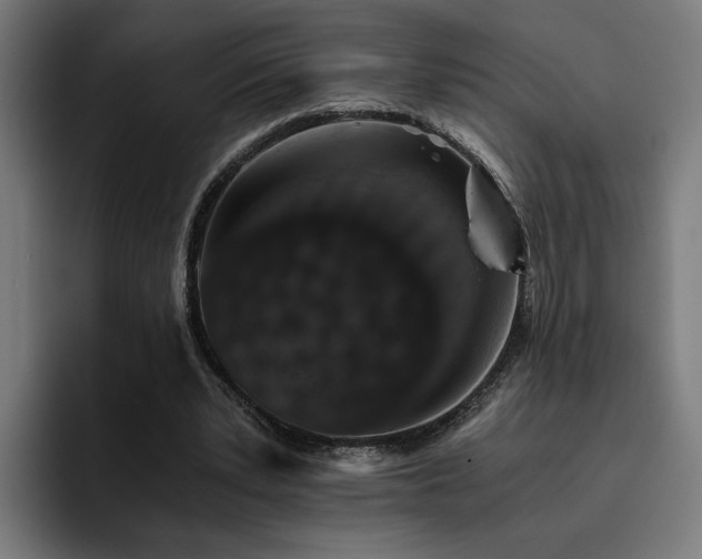 X0000093410391200710121121