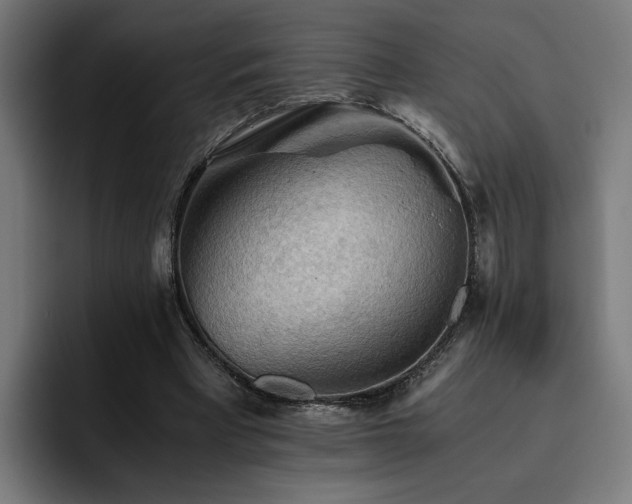 X0000093410393200710121121