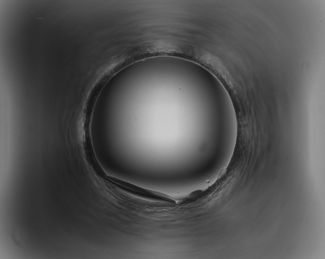 X0000093410395200710121121